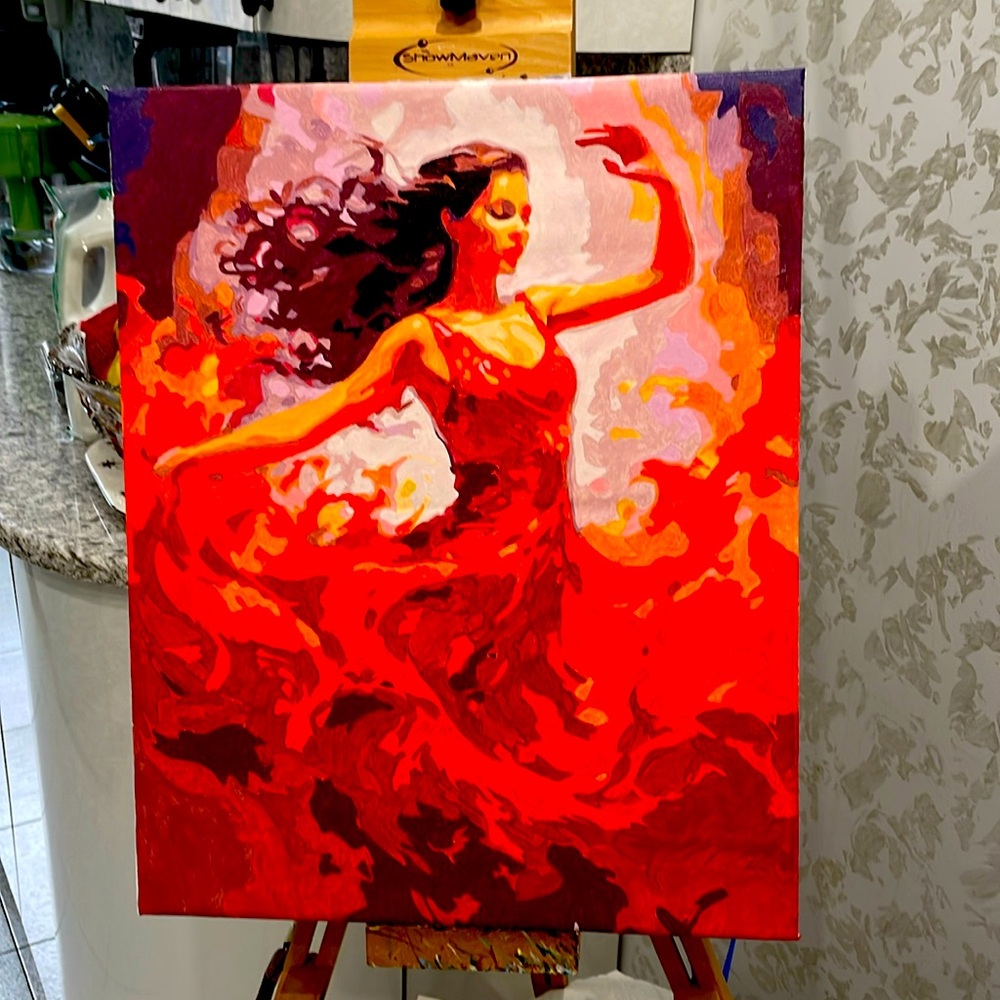 Painting by numbers acrylic paint 16x20.